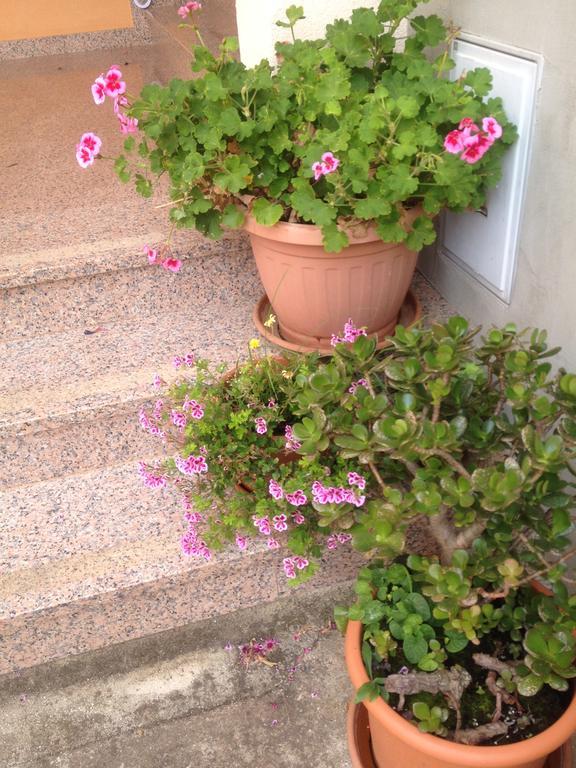 Aria And Apartmant Fuga Guest house Rovinj